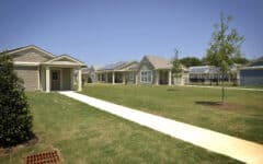 A row of single-story houses with neat lawns and young trees along a walkway under blue sky; some roofs have solar panels.