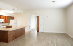 Spacious unfurnished apartment with open-plan kitchen, wood-style floors, large windows, dark cabinets, and white appliances.