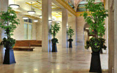 Spacious, elegant hallway with arched ceilings, marble floors, potted plants, benches, ornate lighting, and gold upper wall accents.