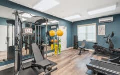 Modern gym with teal walls, weight machine, free weights, two yellow exercise balls, bike, treadmill, and window letting in light.
